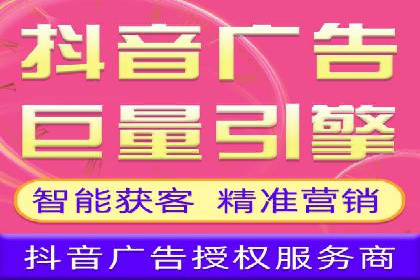 SEM广告投放策略：成功案例解析